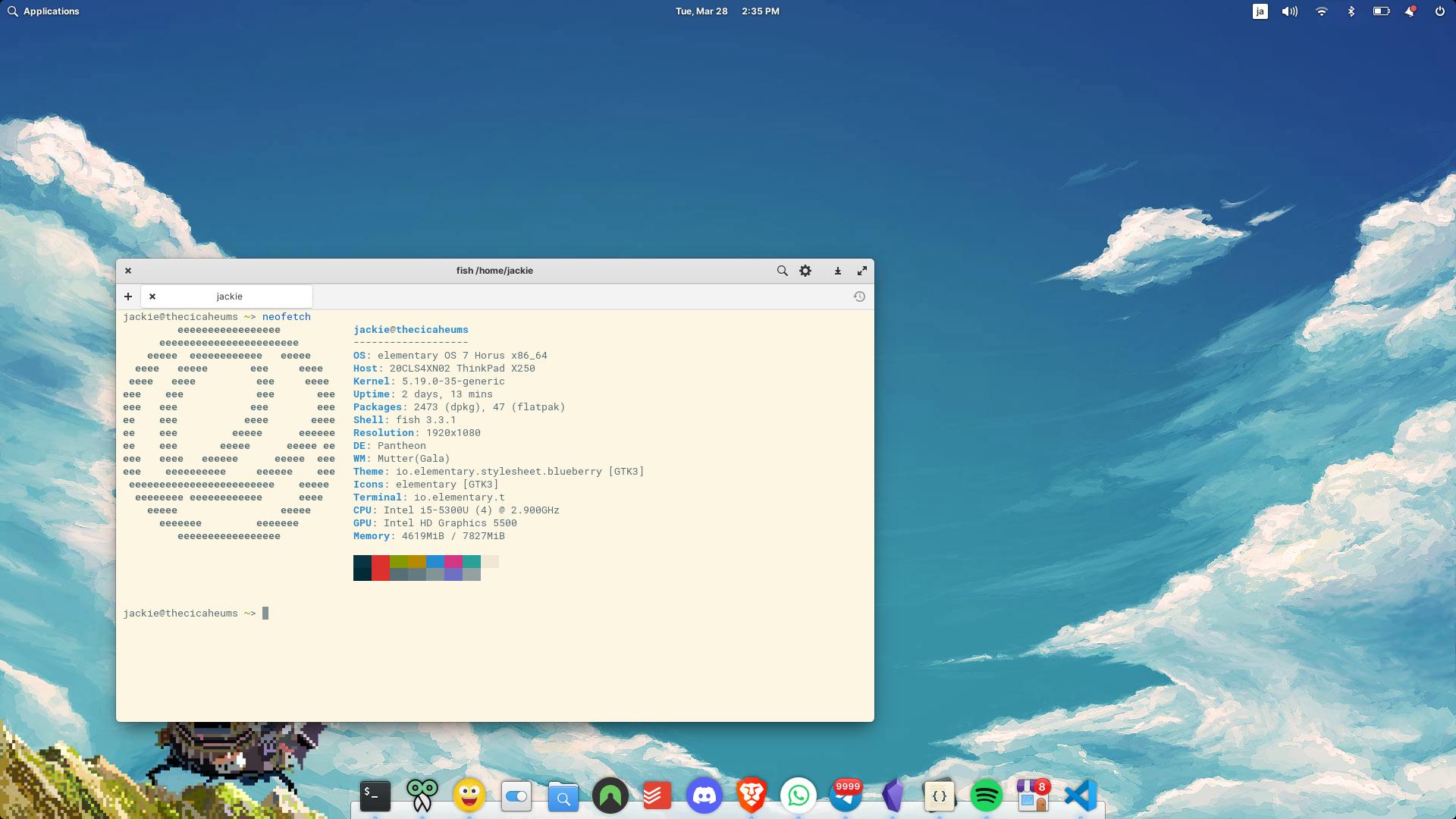 Elementary OS 7